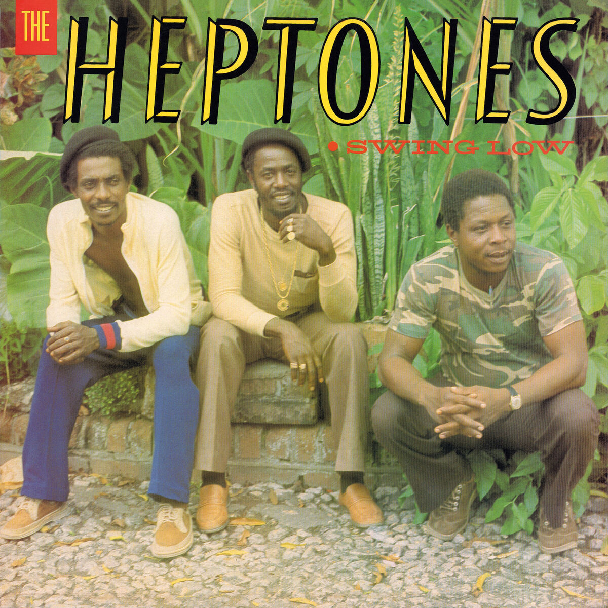 Album cover of Swing Low