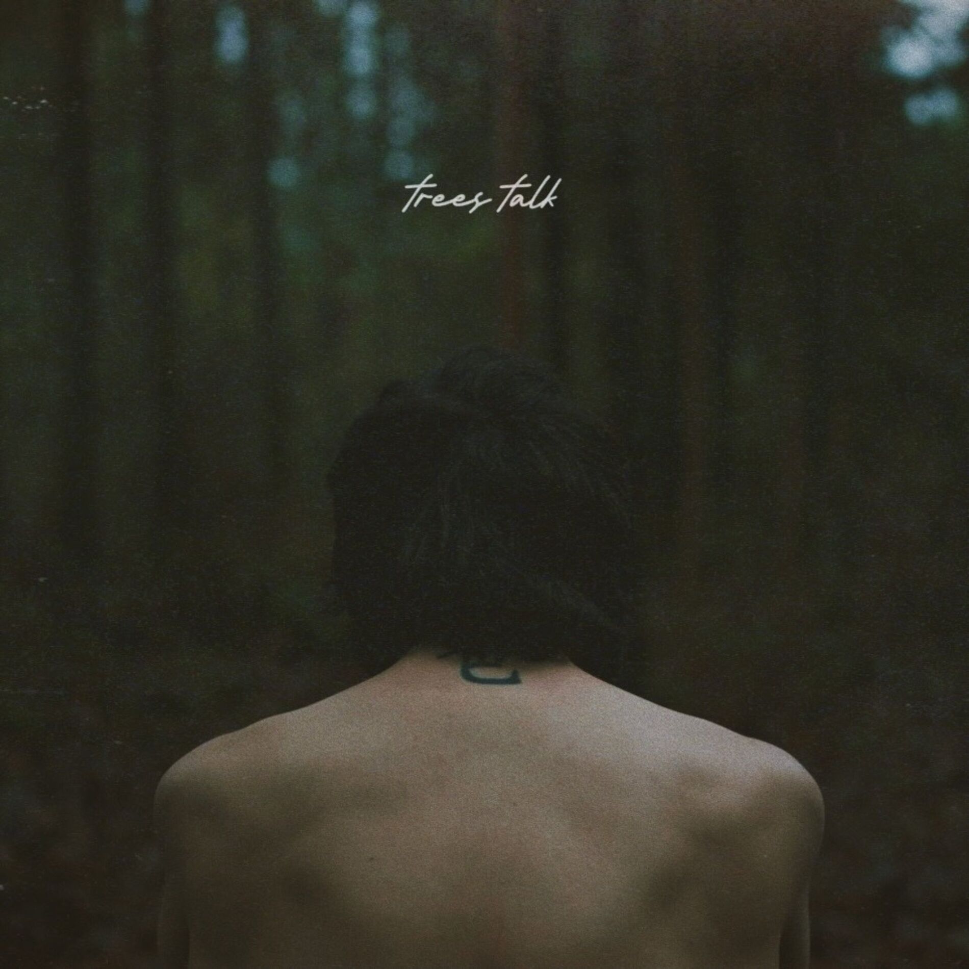 Album cover of trees talk