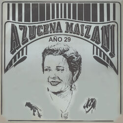 Cover of Año 29