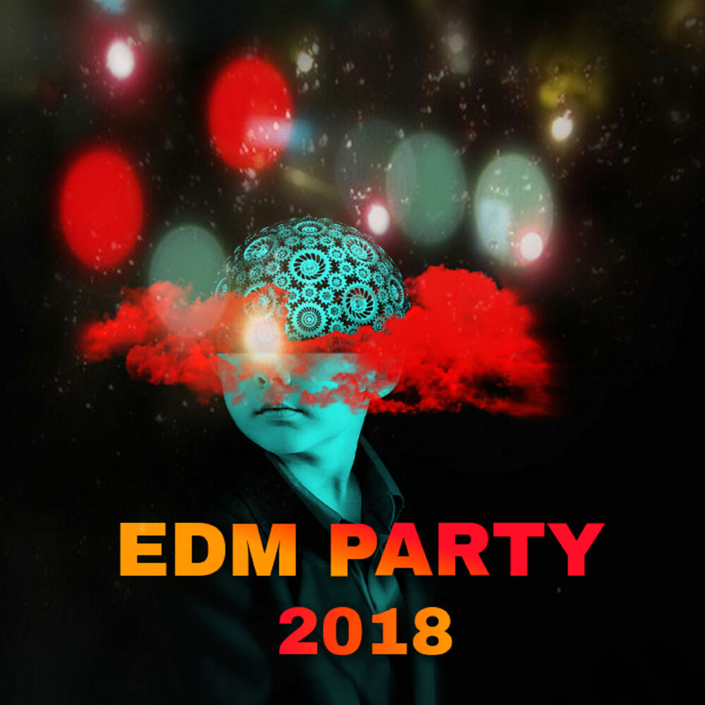 Picture of Edm Party 2018