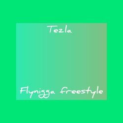 Cover of Fly Nigga Freestyle