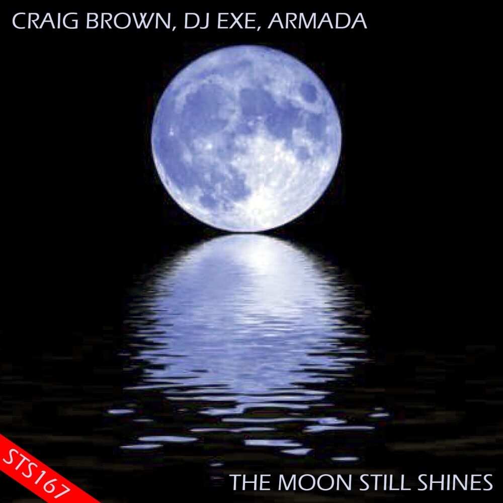 Picture of The Moon Still Shines