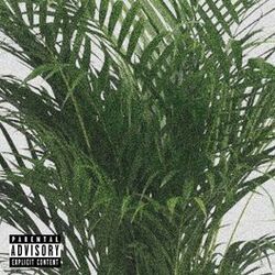 Cover of Drop It