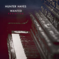Cover of Wanted (Revisited)