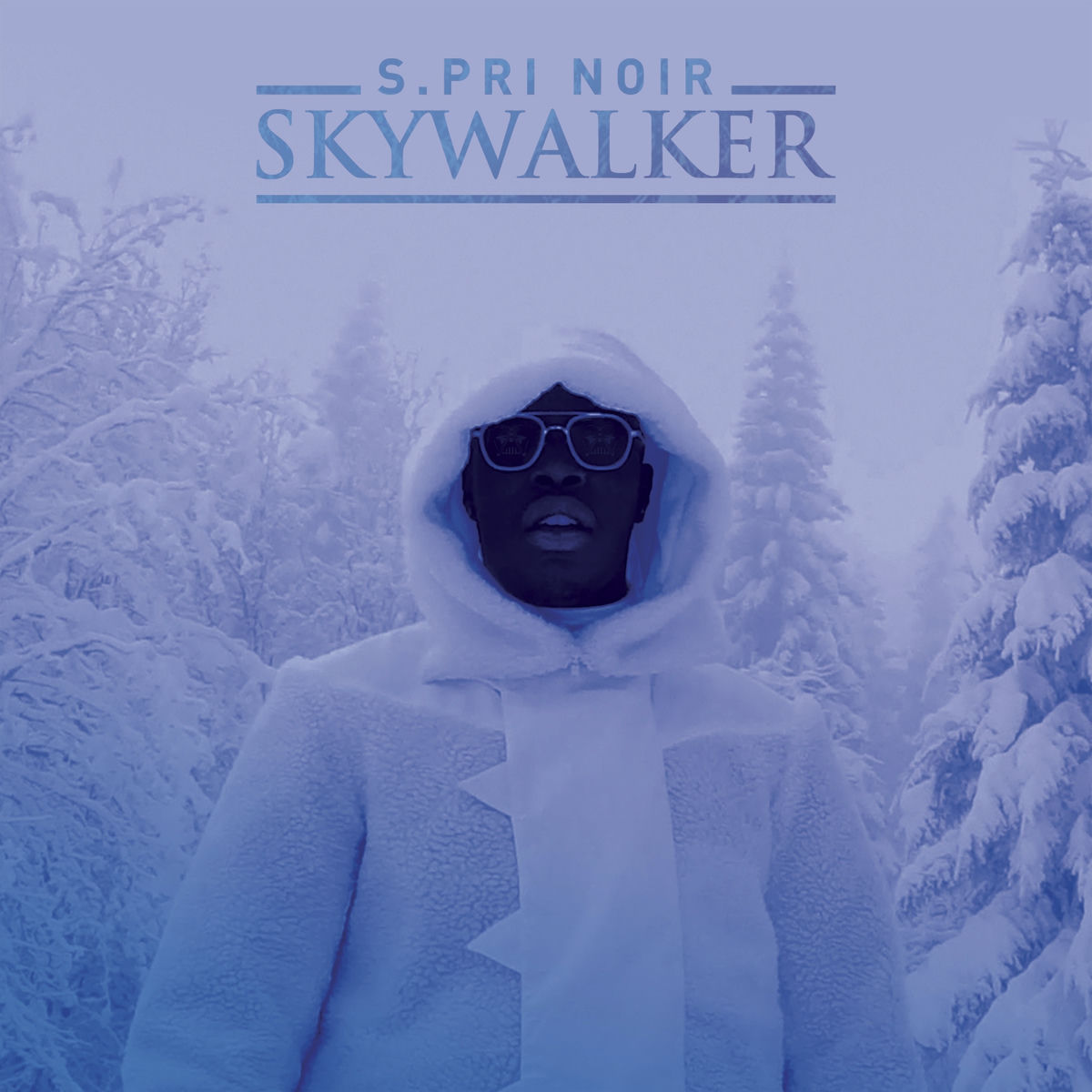 Album cover of Skywalker