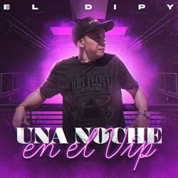 Cover of Una Noche En El VIP