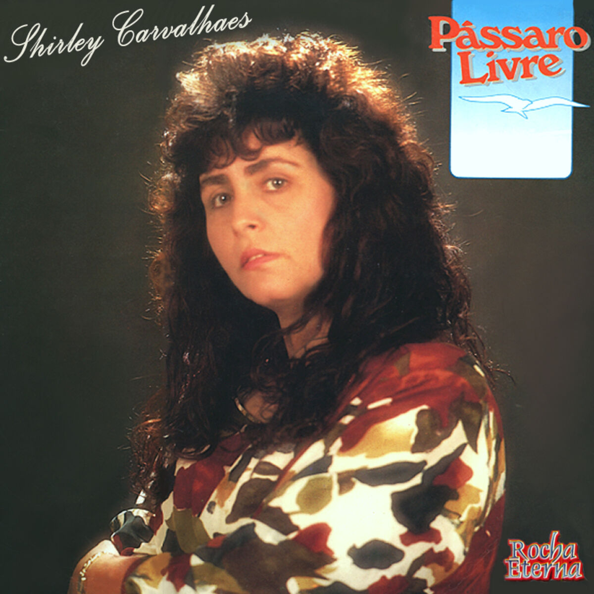 Album cover of Pássaro Livre