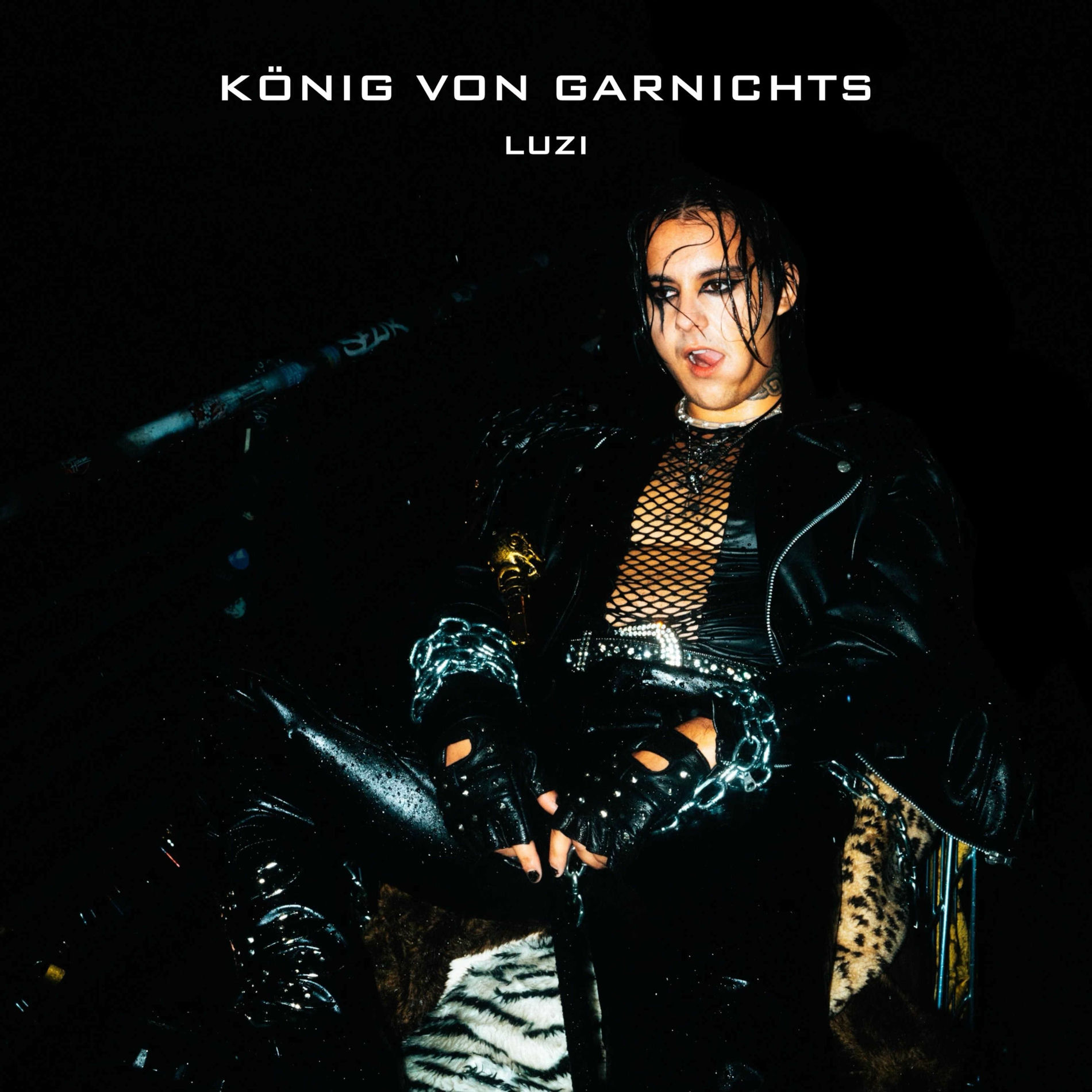 Album cover of König von Garnichts