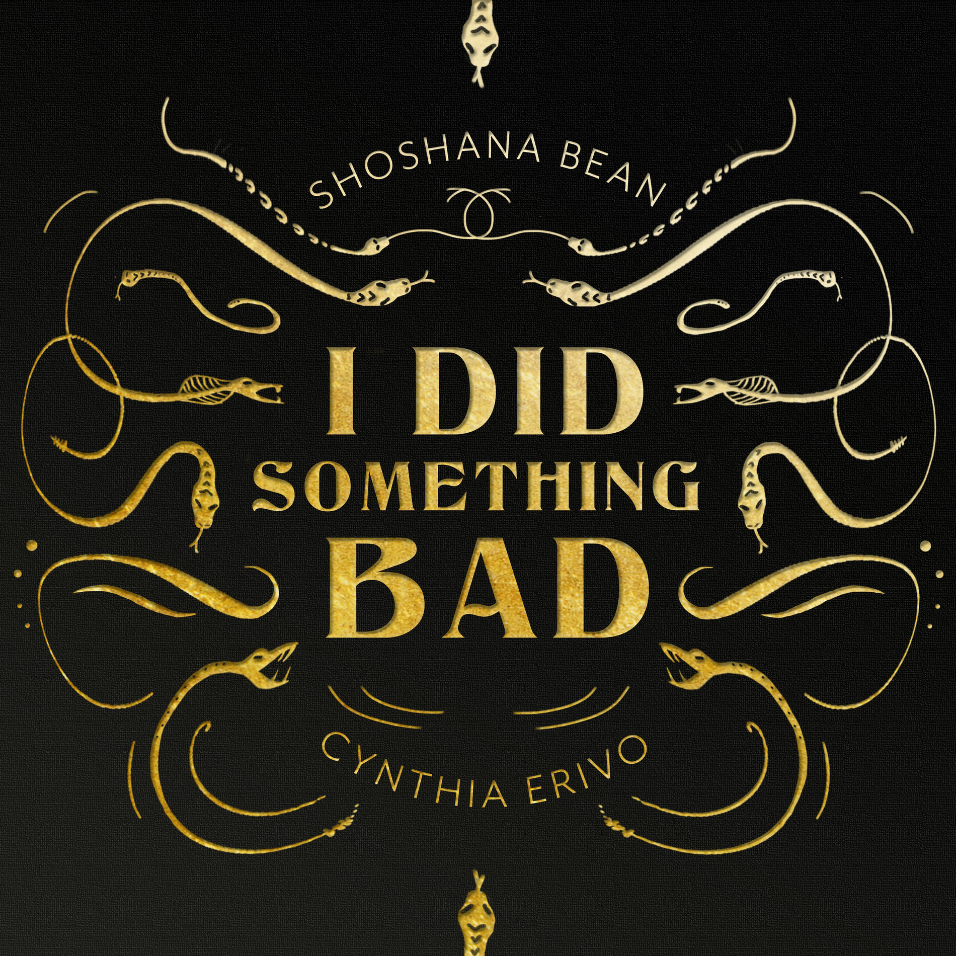 Album cover of I Did Something Bad (Cover)