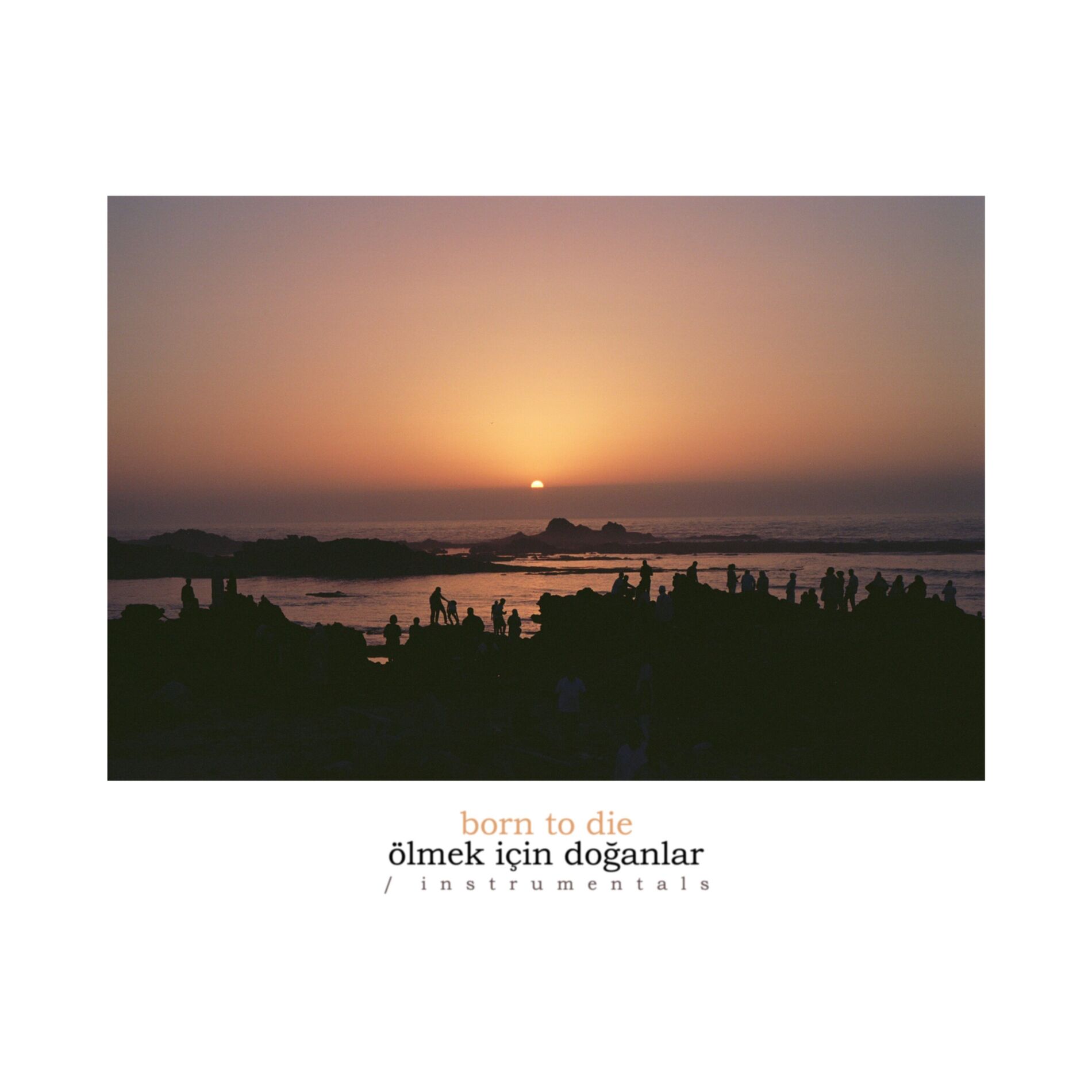 Album cover of Ölmek İçin Doğanlar / Born To Die (Instrumentals)