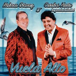 Cover of Vuela Alto