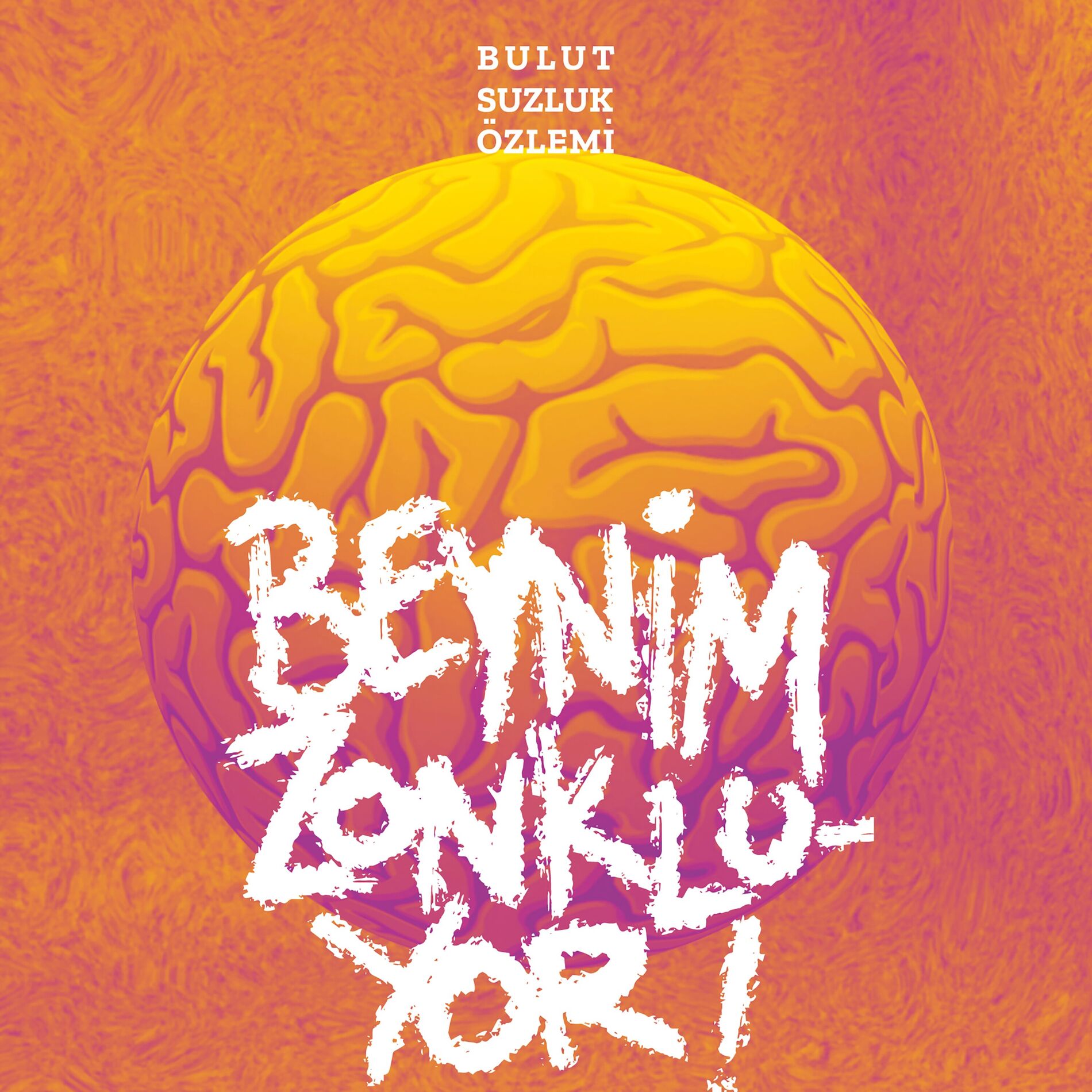 Album cover of Beynim Zonkluyor