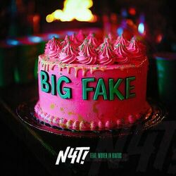 Cover of Big Fake