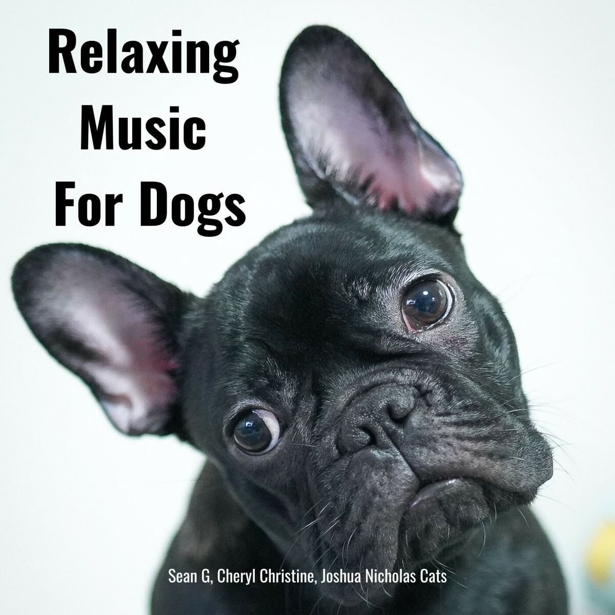 Album cover of Relaxing Music For Dogs