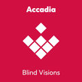 Blind Visions
