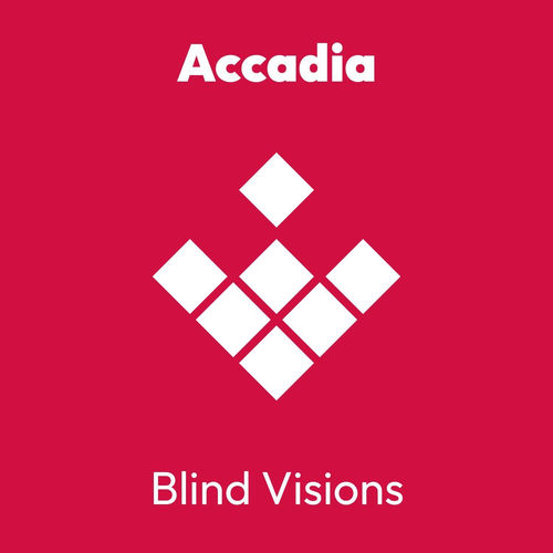Blind Visions