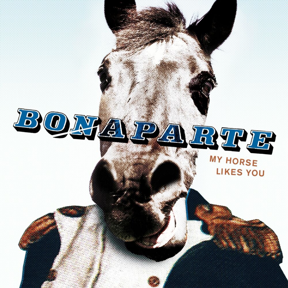 Picture of My Horse Likes You