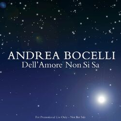 Cover of Dell'Amore Non Si Sa