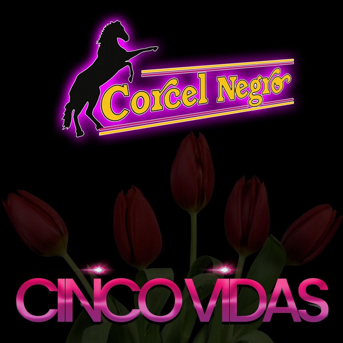Album cover of Cinco Vidas