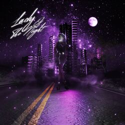 Cover of lady of the night
