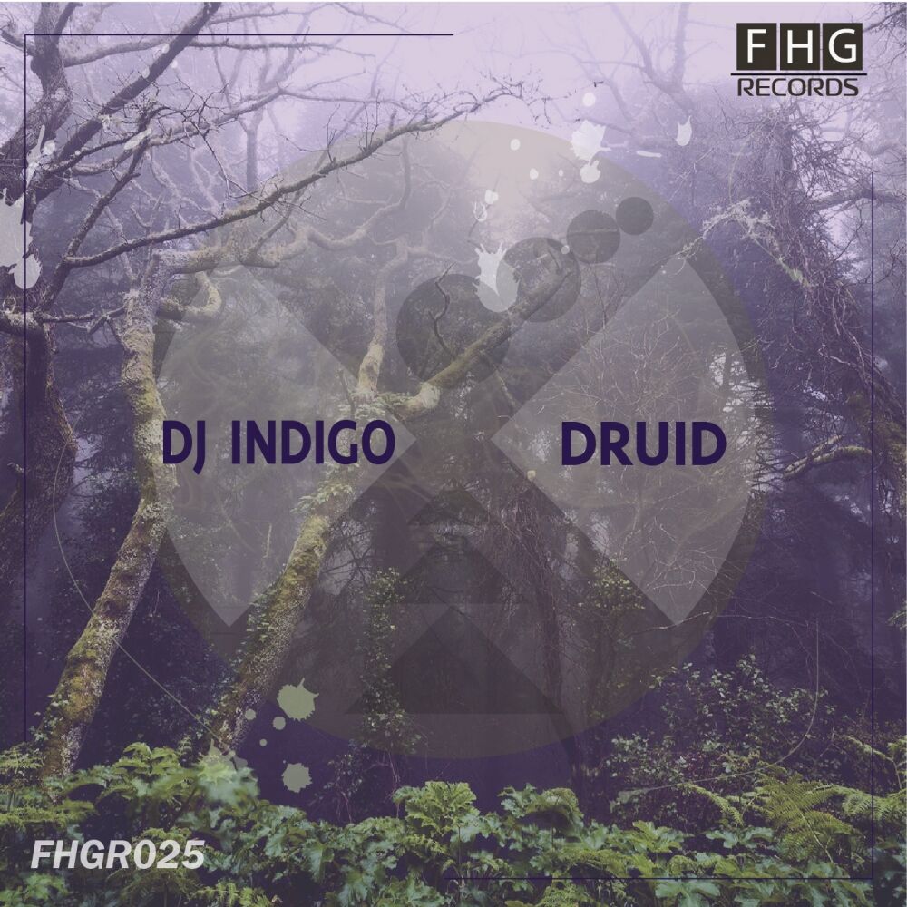 Picture of Druid