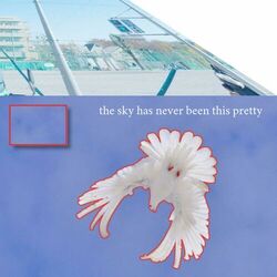 Cover of the sky has never been this pretty
