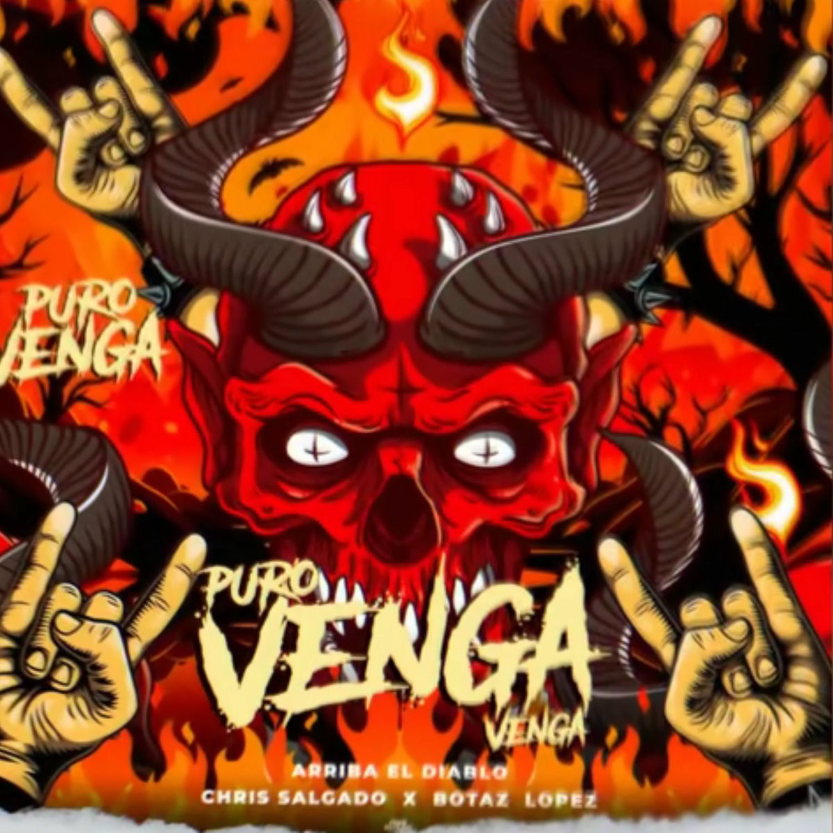 Album cover of PURO VENGA VENGA ARRIBA EL DIABLO