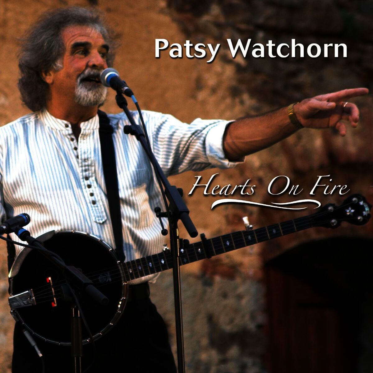 Album cover of Hearts On Fire