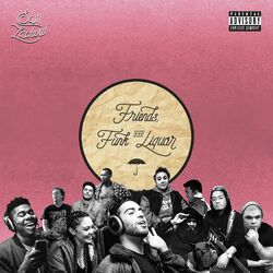 Cover of Friends, Funk, & Liquor
