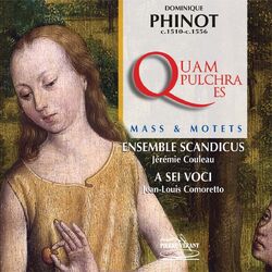 Cover of Dominique Phinot : Messe quam pulchra es & Motets