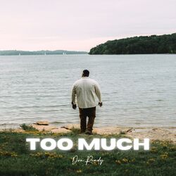 Cover of Too Much