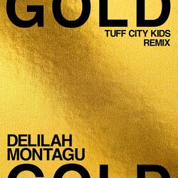 Cover of Gold (Tuff City Kids Remix)