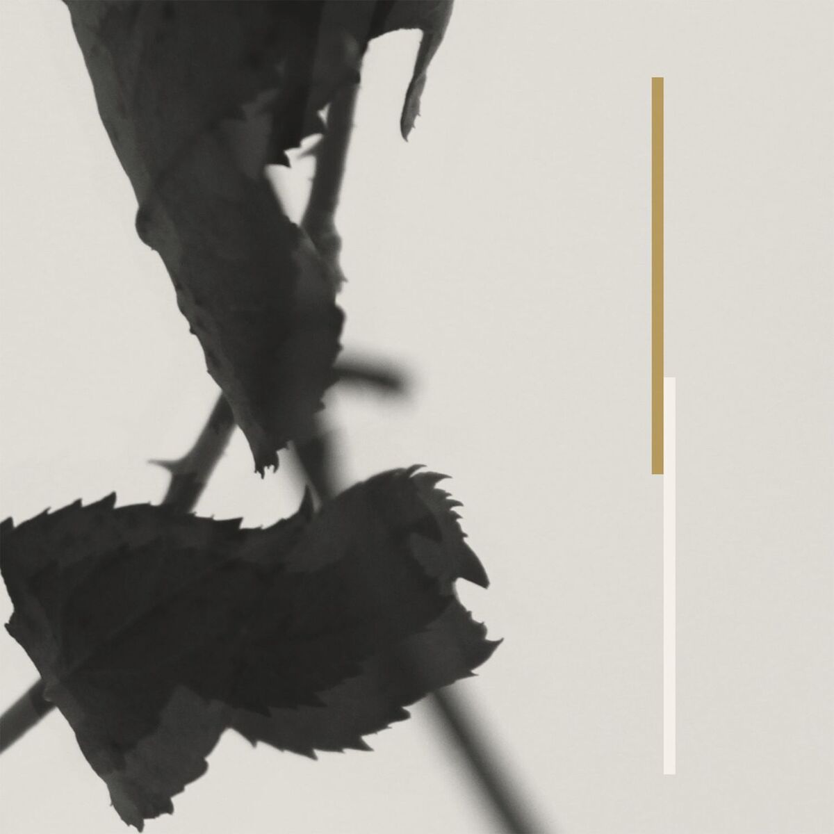 Album cover of Grafts