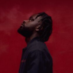 Cover of Rise