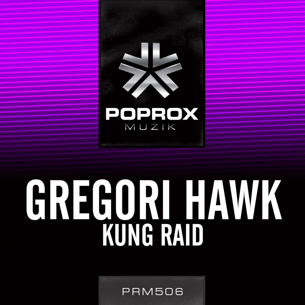Picture of Kung Raid