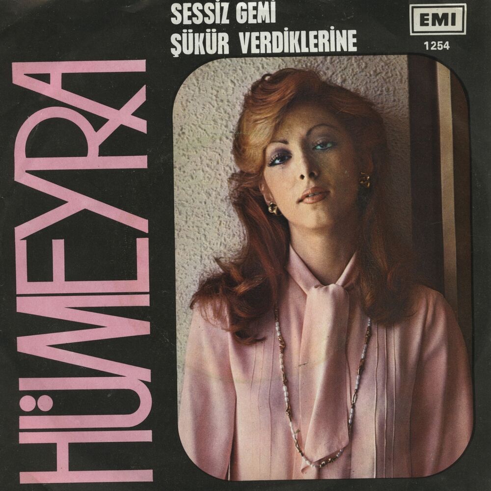 Picture of Sessiz Gemi