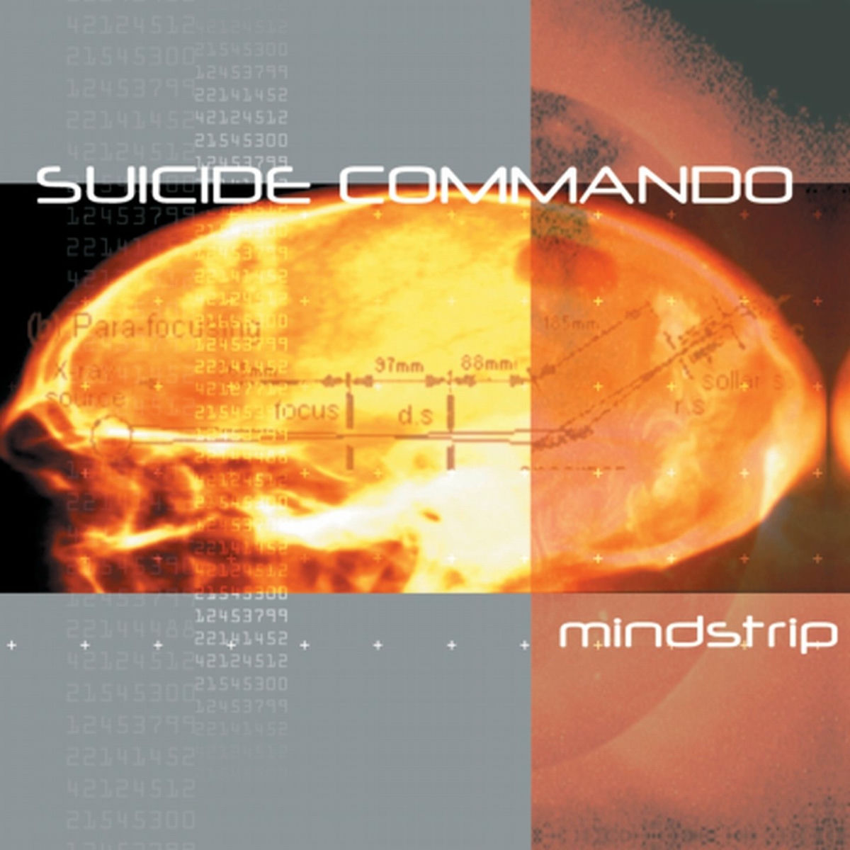 Album cover of Mindstrip