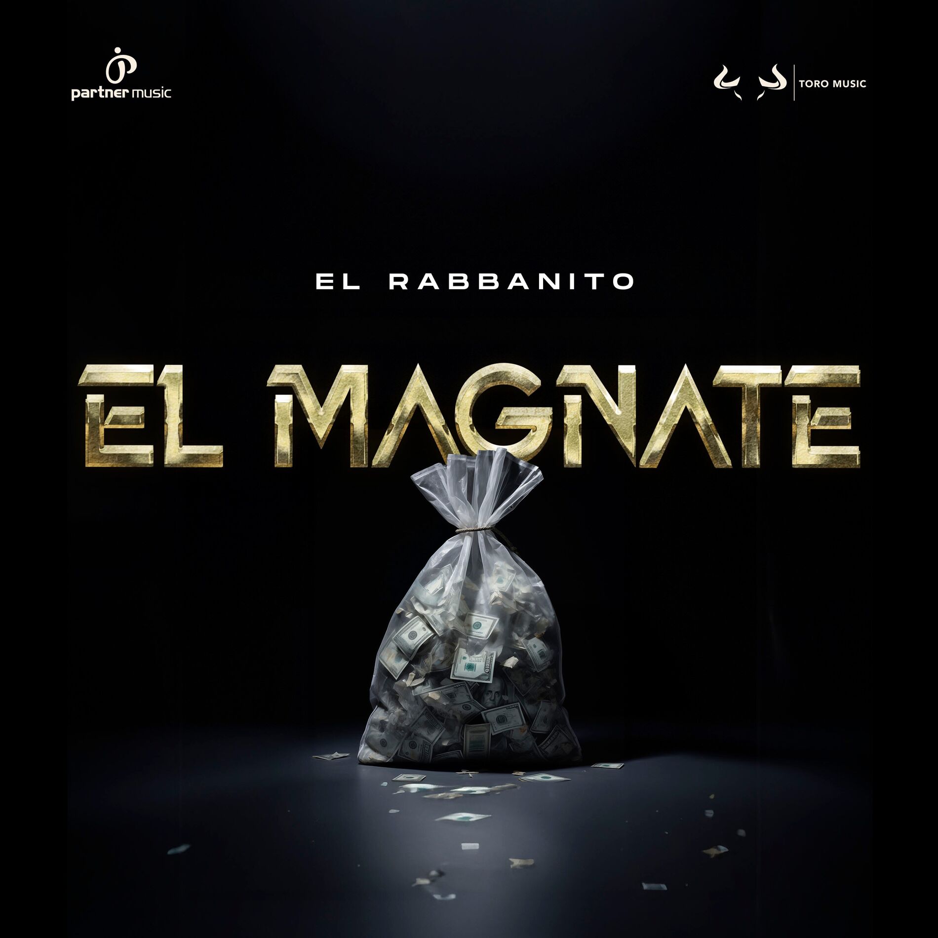 Album cover of El Magnate