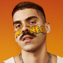 Cover of Não Nega