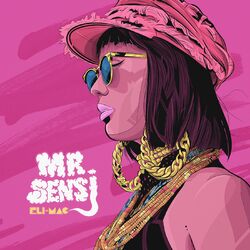 Cover of Mr Sensi