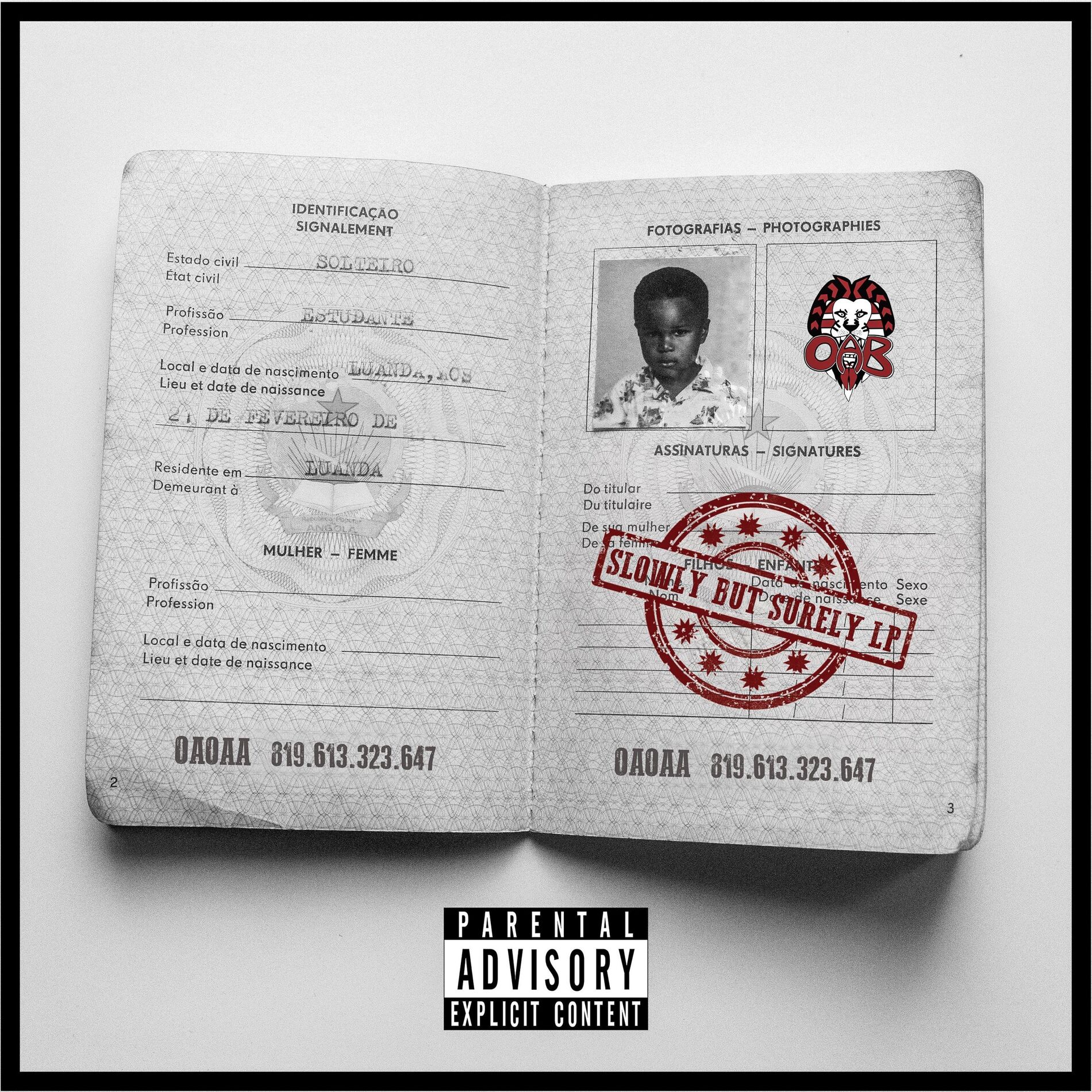 Album cover of Slowly But Surely L.P.