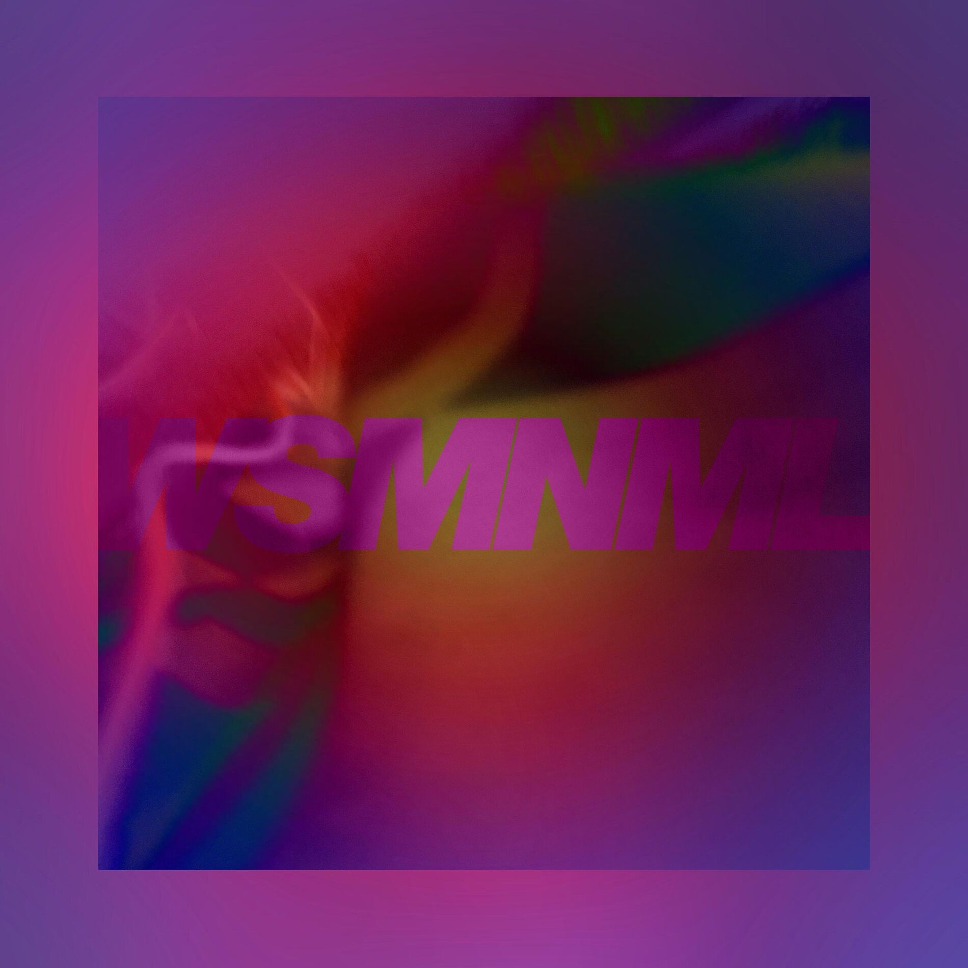 Album cover of WSMNML