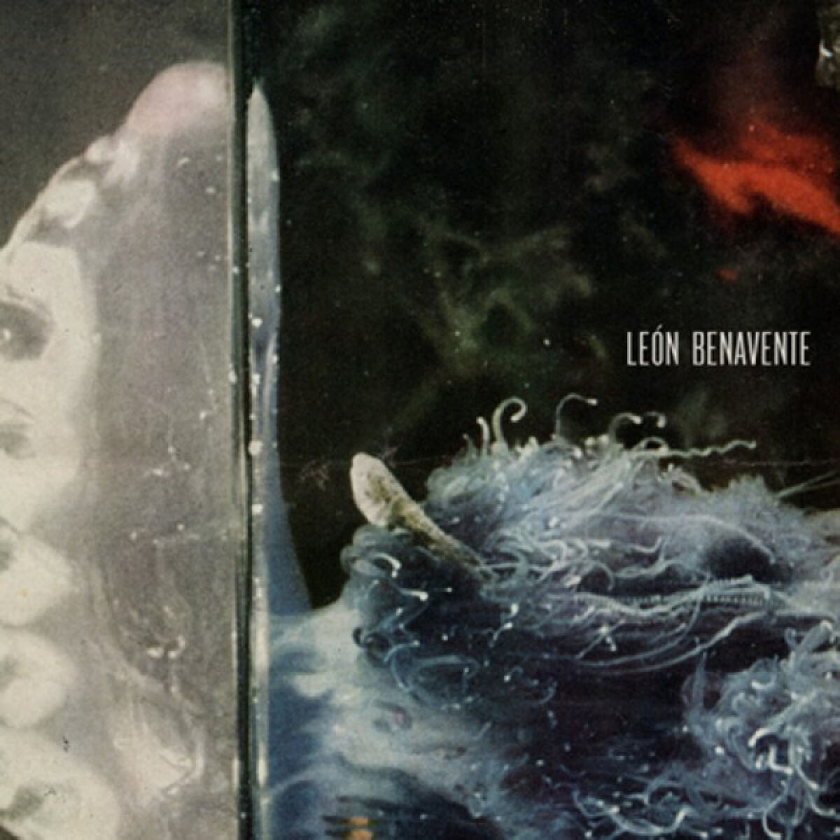 Album cover of León Benavente