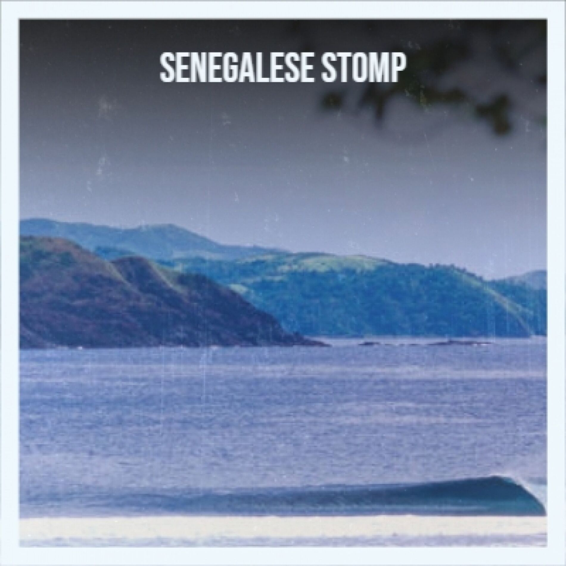 Album cover of Senegalese Stomp