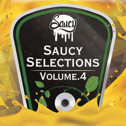 Cover of Saucy Selections Volume 4