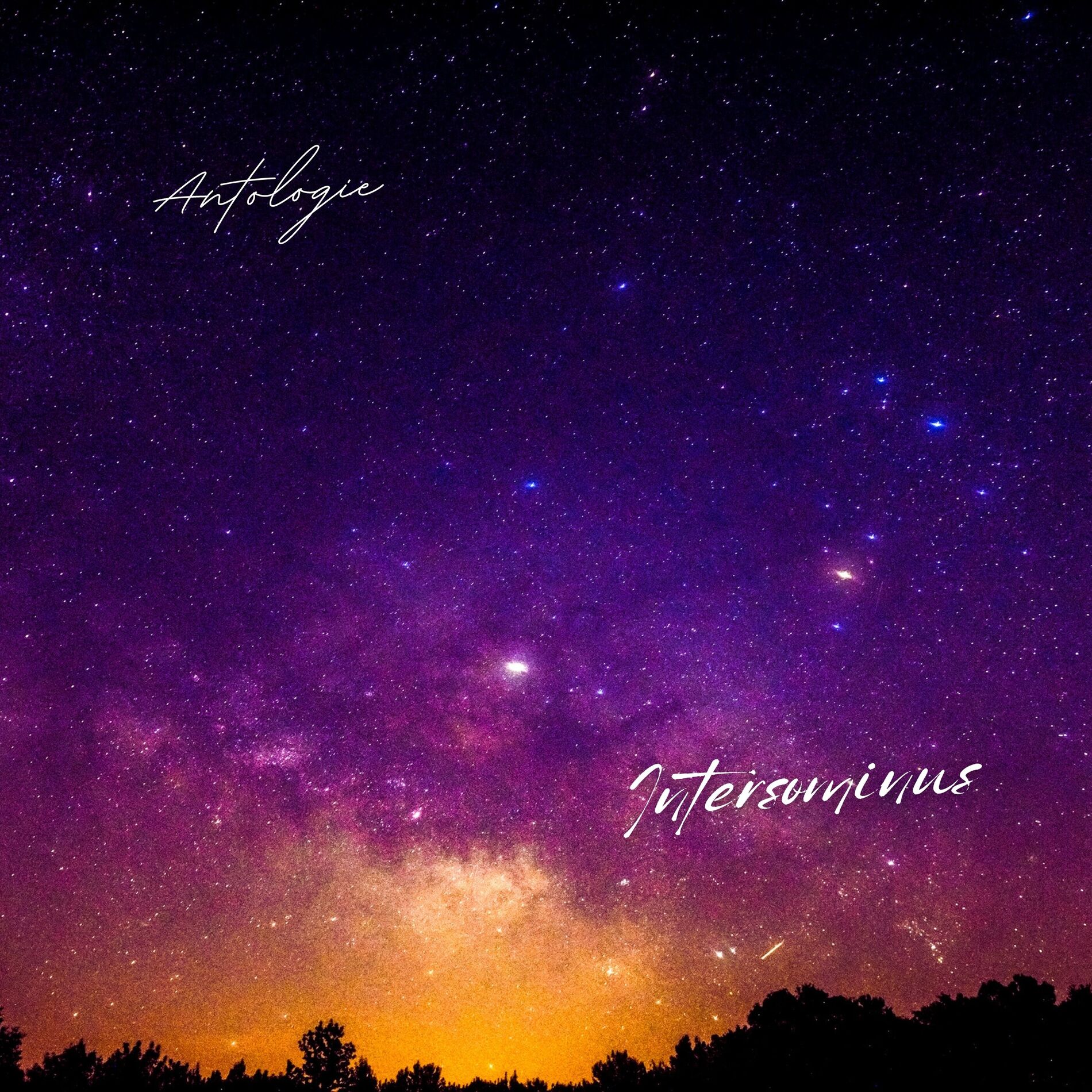 Album cover of Intersominus