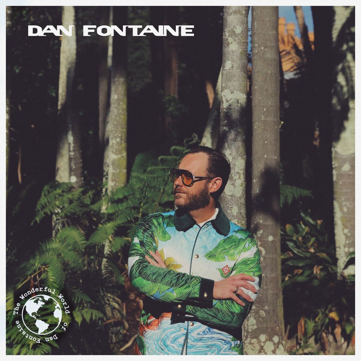 Album cover of The Wonderful World of Dan Fontaine