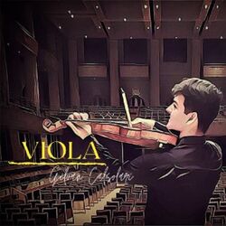 Cover of Viola