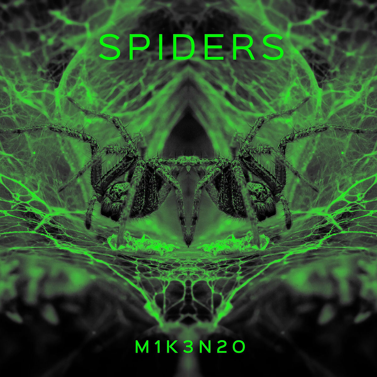 Album cover of Spiders