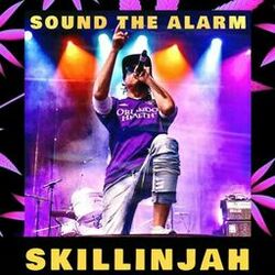 Cover of Sound The Alarm